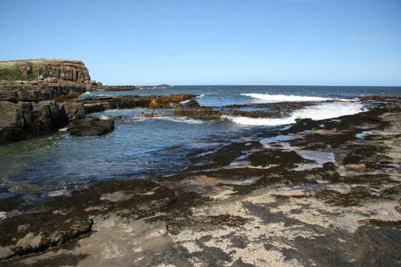 Nieuw-Zeeland 2011 - 1829